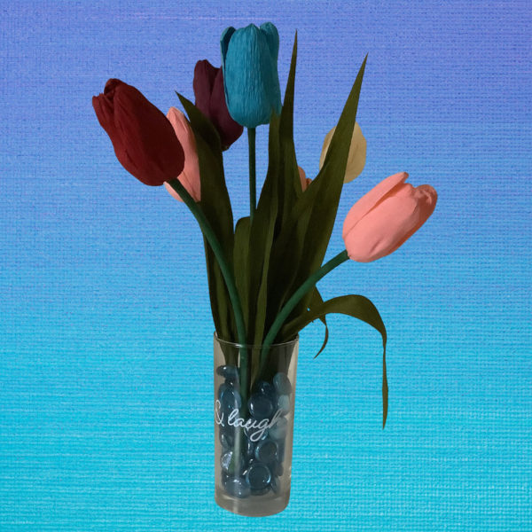 Multi Colored Tulips